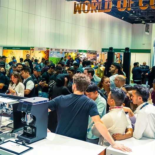 Dubai-Event-World of Coffee 2025-image-4-527-527